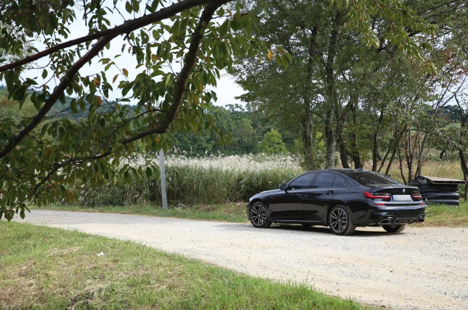 갈대밭과 나무가 어우러진 시골길에 주차된 검은색 BMW M340i 후측면 — 순정 상태 전체 실루엣