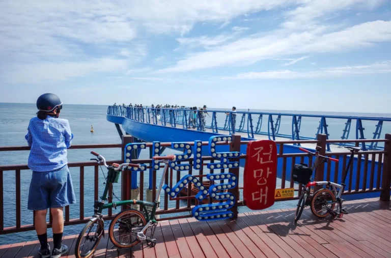 부산 청사포 다릿돌 전망대 난간 옆에 TACO와 두 대의 브롬톤 자전거가 함께 서 있고, 푸른 바다가 넓게 펼쳐져 있다.