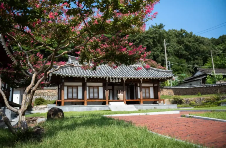 햇살 좋은 여름날, 붉은 배롱나무 꽃이 활짝 핀 대구 서계서원의 고즈넉한 전경