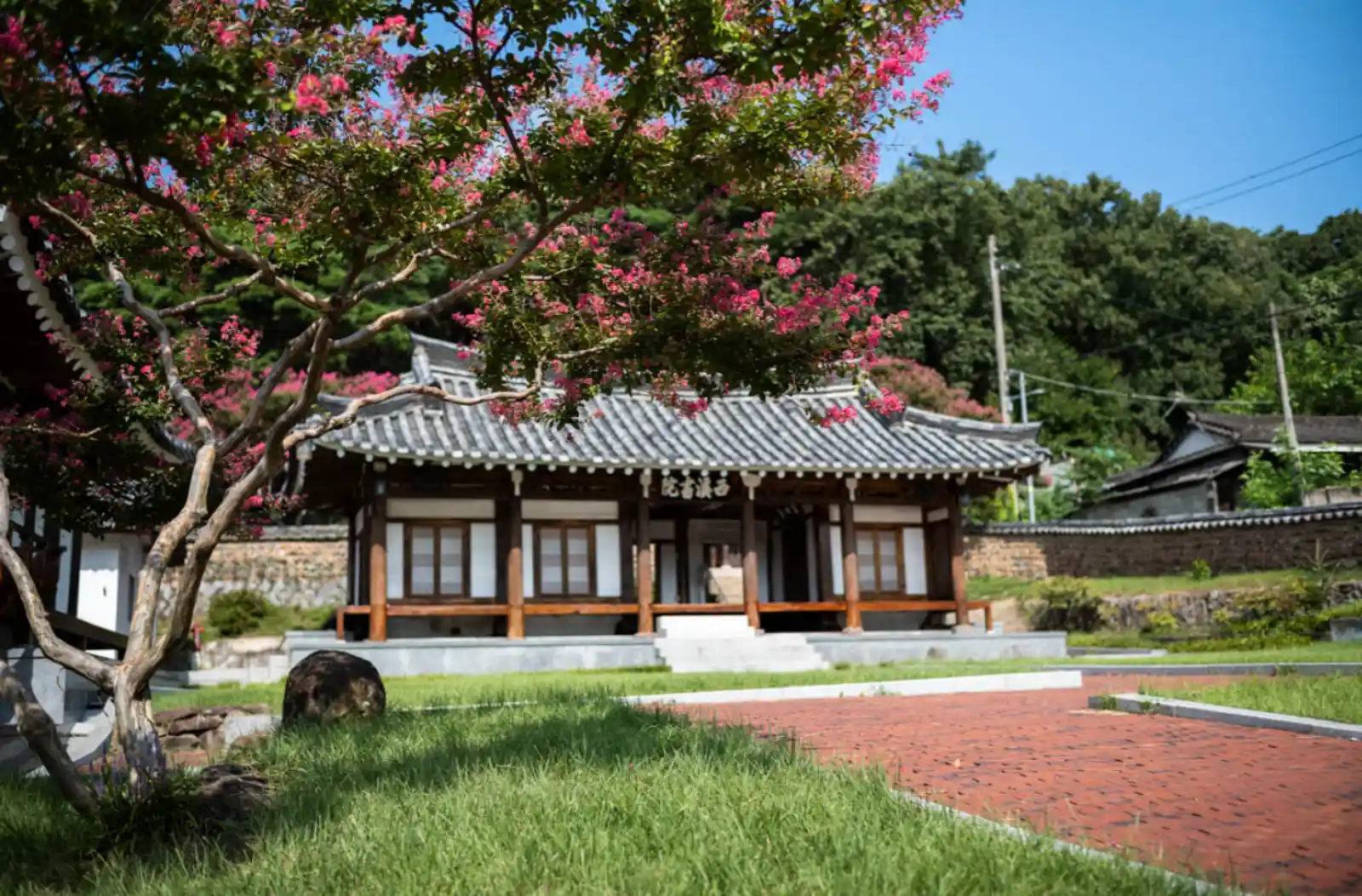 햇살 좋은 여름날, 붉은 배롱나무 꽃이 활짝 핀 대구 서계서원의 고즈넉한 전경