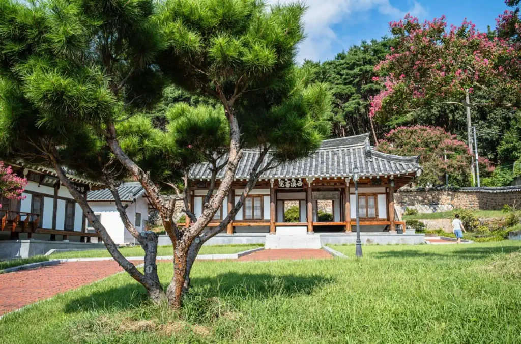 푸른 소나무가 서 있는 대구 서계서원 마당과 정면에 보이는 서계서원 강당의 모습