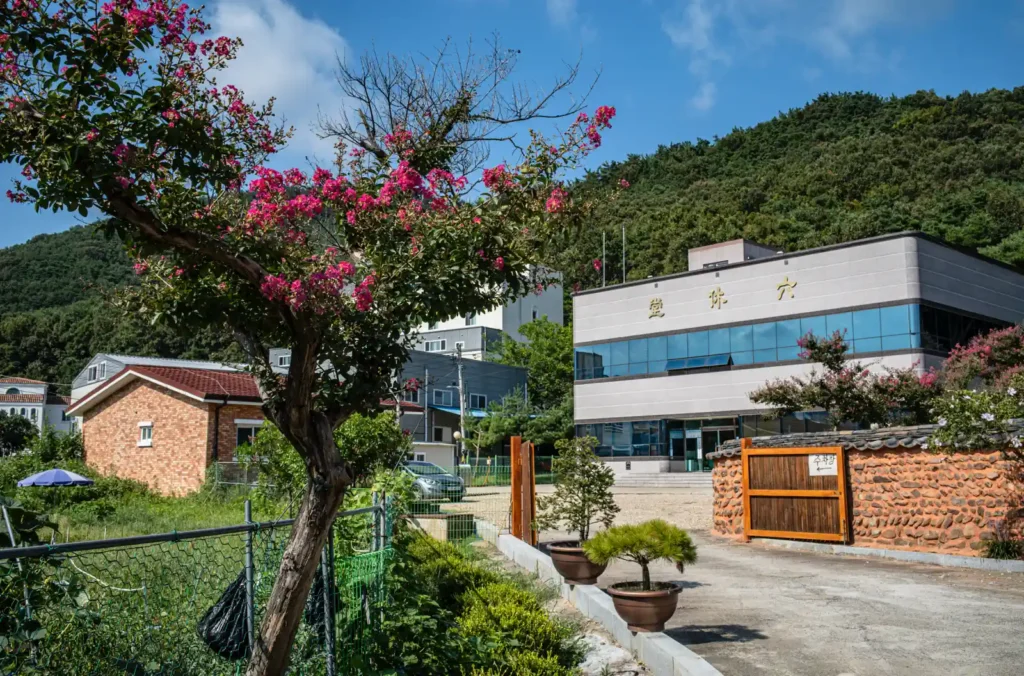 대구 서계서원 주차장 옆에 핀 배롱나무