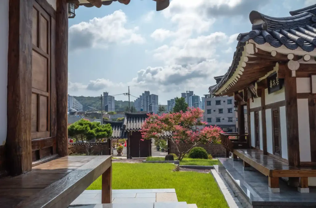 대구 서계서원 환성정 옆 붉게 핀 배롱나무와 전통 건축, 배경으로 보이는 현대 도시 풍경