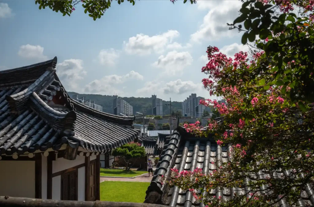 대구 서계서원 숭덕사 담장 너머로 보이는 전통 기와지붕과 현대적인 대구 도심의 아파트 풍경