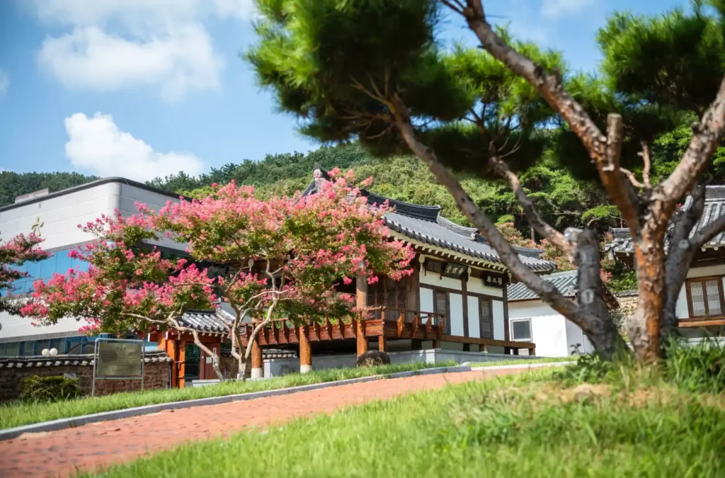 대구 서계서원 환성정 앞, 소나무와 배롱나무가 어우러진 여름날의 풍경