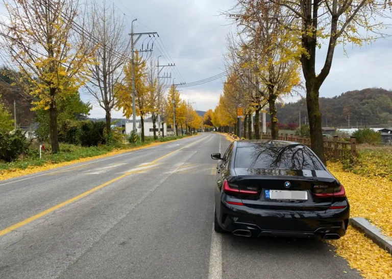 가을 단풍이 물든 도로에 주차된 검은색 BMW M340i 후면. 수입차 리스 할부 현금 구매 비교 포스팅. BMW 오너의 이야기.