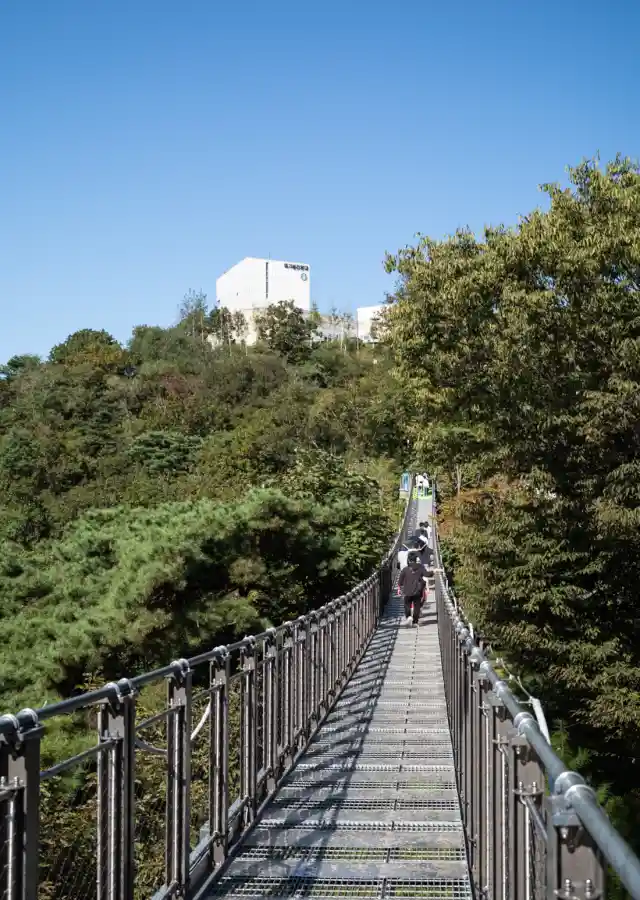 푸른 하늘 아래 애기봉평화생태공원으로 이어지는 출렁다리를 걷는 방문객들. 울창한 나무 사이로 길게 이어진 다리 끝에는 흰색 전망대 건물이 보인다.
