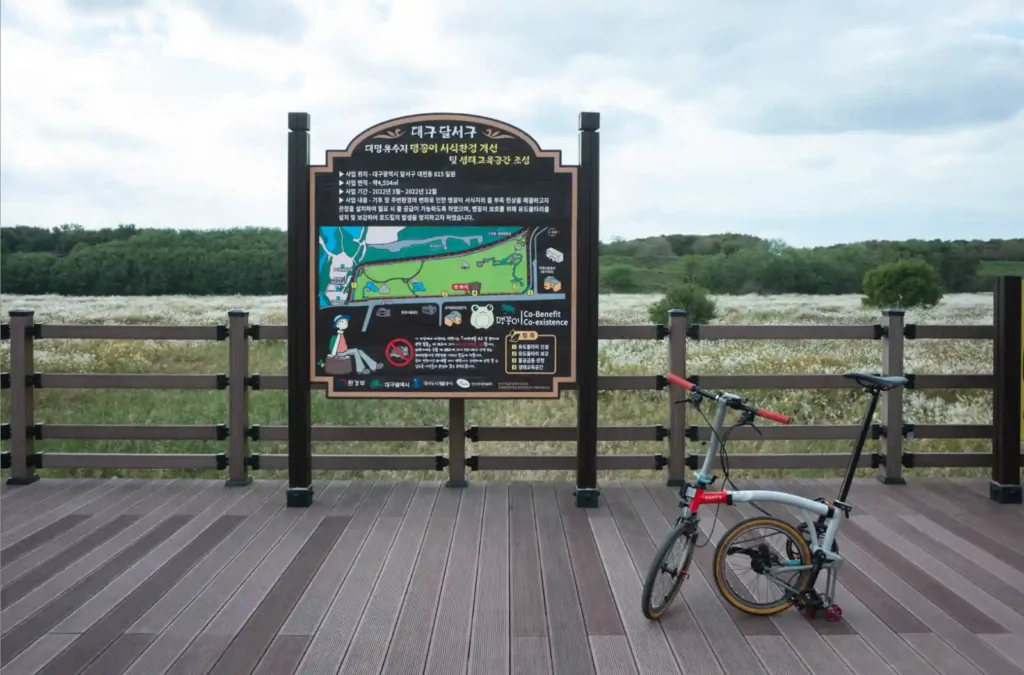 대구 대명유수지 브롬톤 인증 사진, 이용 시간 및 생태 정보 안내판