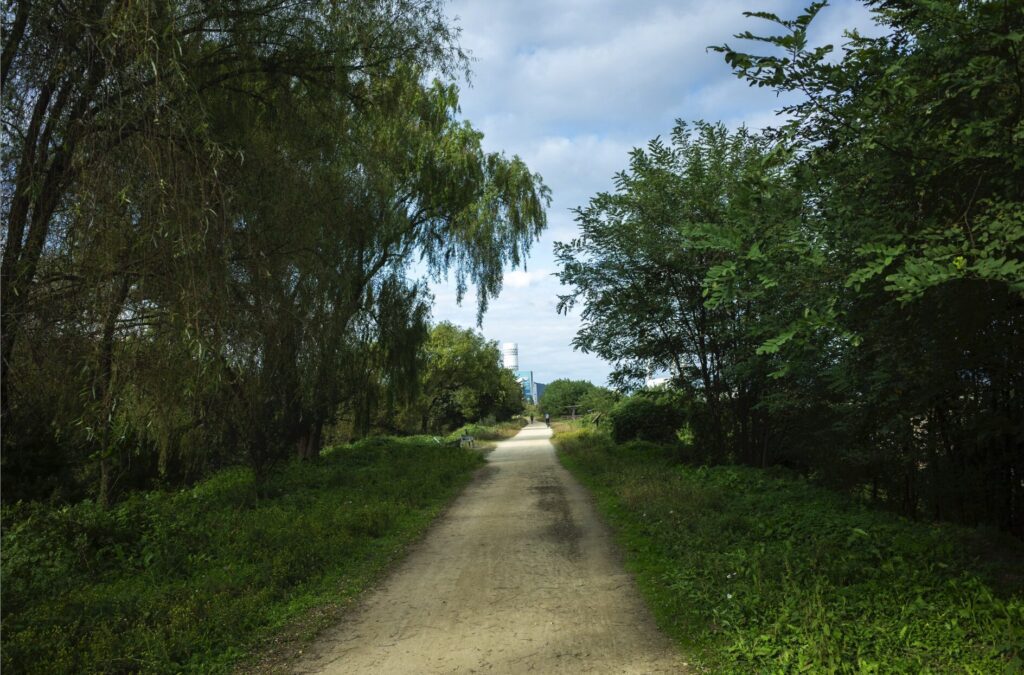 대구 달성습지 강창역 방향 뚝방길 라이딩 코스 비포장