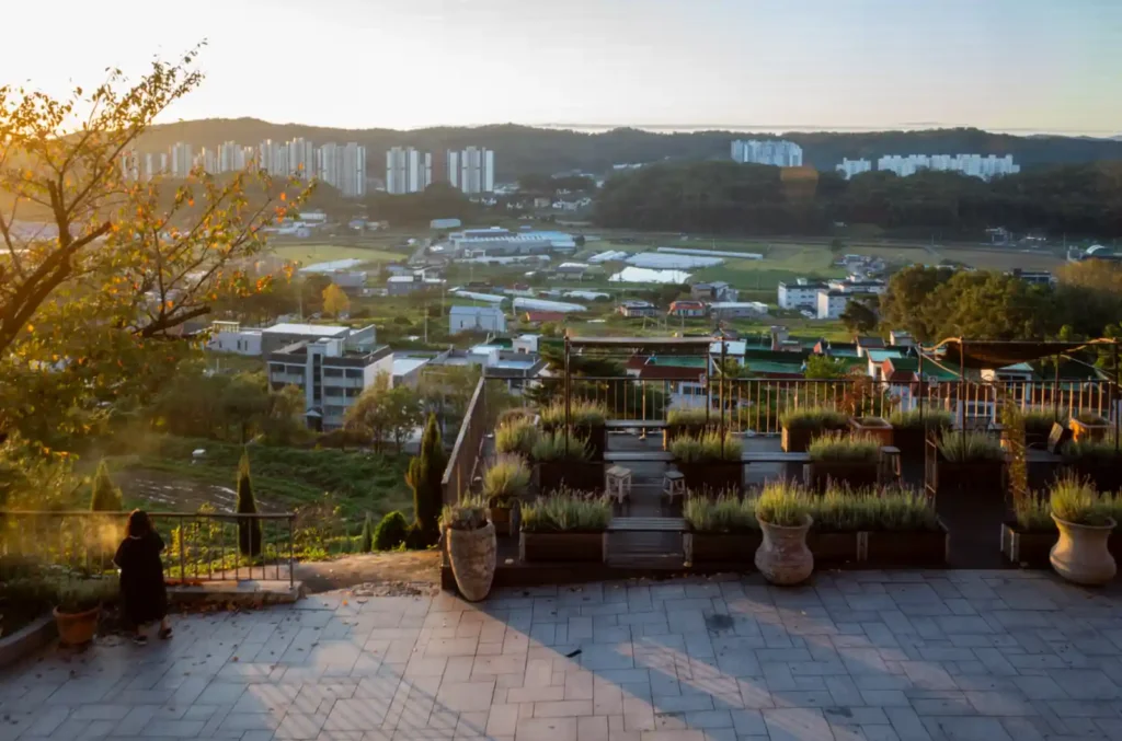 강화 에버리치 호텔에서 내려다본 강화도의 아침 전경, 아파트 단지와 들판 위로 쏟아지는 리코 GR2 28mm 광각 뷰