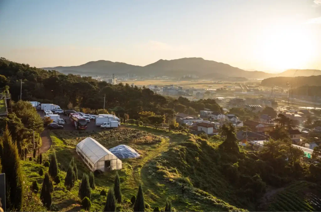 강화 에버리치 호텔 언덕에서 내려다본 강화도의 아침 일출 뷰, 산과 들판 위로 퍼지는 평화로운 햇살