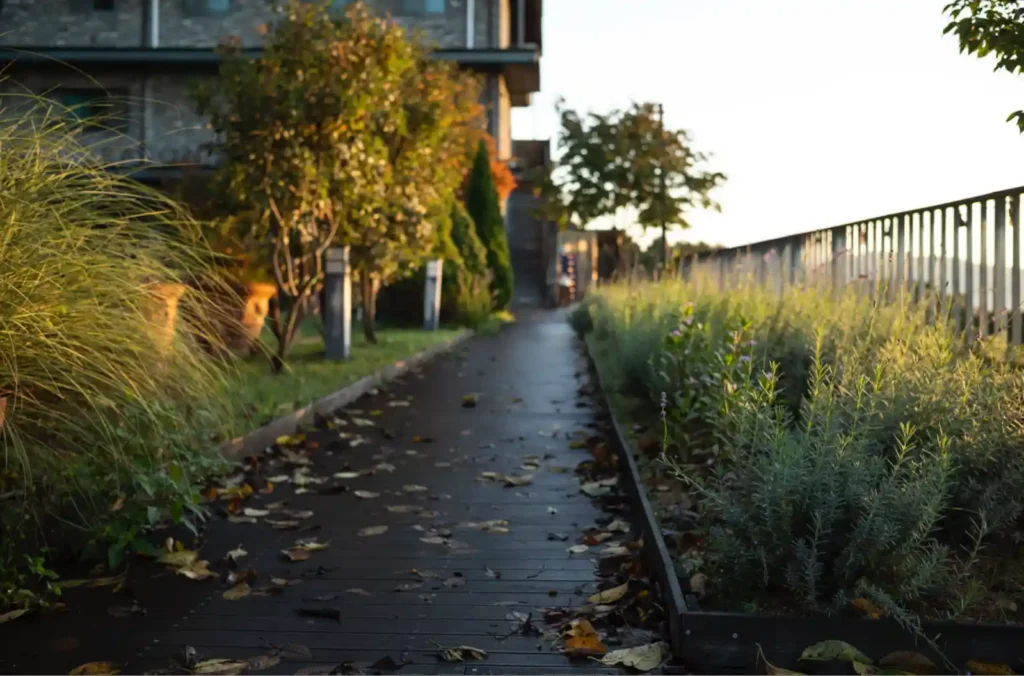 강화 에버리치 호텔 별관 산책로, 주미룩스 35mm f/1.4 렌즈로 담아낸 낙엽과 식물들의 부드러운 보케 배경 흐림