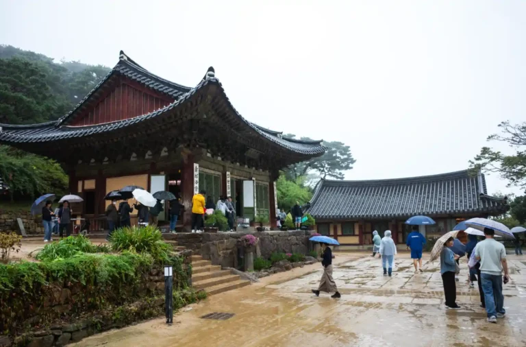 리코 GR2로 촬영한 강화도 전등사 대웅보전 앞 빗속 풍경, 우산을 쓴 여행객들 모습, M340i 장거리 여행 후 도착한 천년고찰 사진 기록