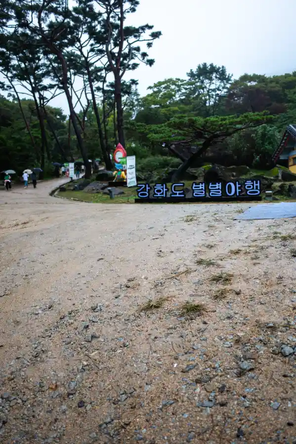 리코 GR2로 촬영한 전등사 가는 길, 빗물에 젖은 '강화도 별빛야행' 안내판과 소나무 숲
