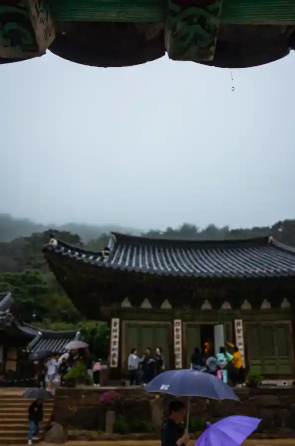 리코 GR2로 촬영한 전등사 경내 처마 끝 빗방울 스냅, 빗속의 전각과 우산을 쓴 방문객들