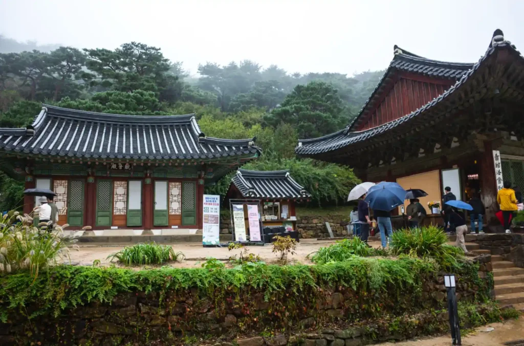 리코 GR2로 포착한 강화도 전등사 경내 입구, 전각들의 기와지붕 곡선과 우산을 쓴 방문객들의 빗속 스냅