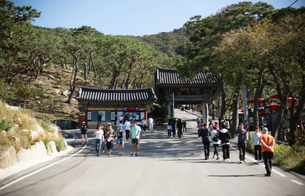 석모도 보문사 일주문(일종문) 전경, 푸른 소나무와 산 중턱에 자리한 전통 건축물, 녹티룩스 50mm f/1.2 스냅