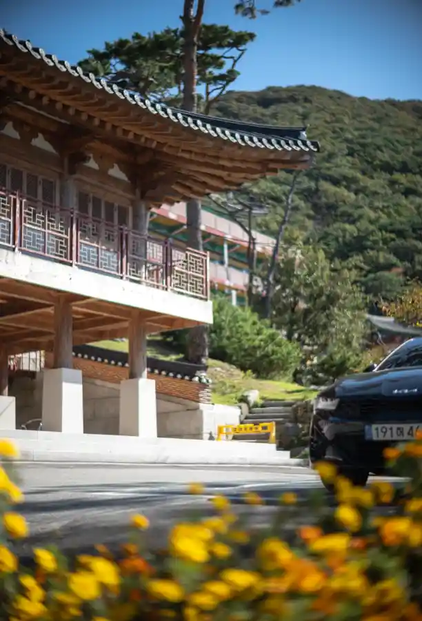 석모도 보문사 경내, 노란 꽃과 처마의 단청 대비, 녹티룩스 50mm f/1.2로 포착한 검은색 차량과 얕은 심도