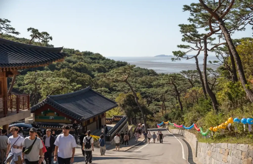 석모도 보문사 전망대 가는 길, 소나무와 한옥 처마 사이로 보이는 서해 바다 스냅, 녹티룩스 50mm