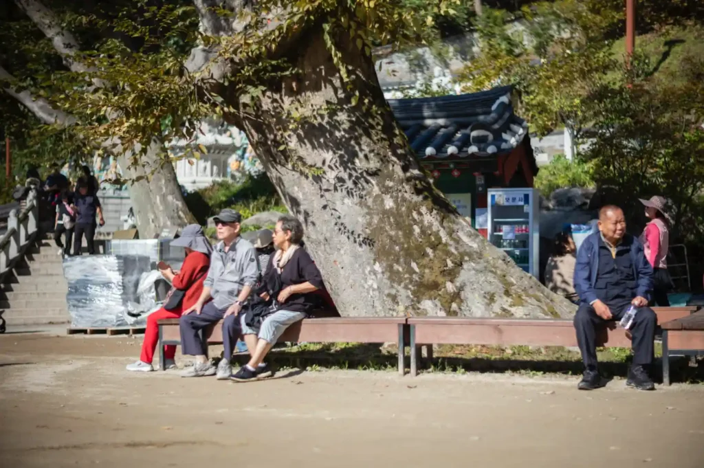 석모도 보문사 대웅전 앞마당, 수백 년 된 고목 그늘 아래 벤치에서 휴식하는 참배객들 스냅, 녹티룩스 f/1.2로 포착한 평화로운 순간