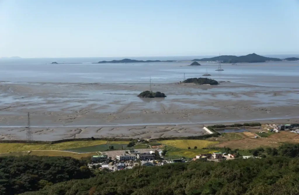 석모도 보문사 전망대에서 내려다본 썰물 서해 갯벌, 물길이 만든 추상적인 무늬와 멀리 보이는 섬들의 파노라마