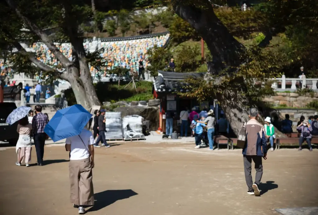 석모도 보문사 경내, 오후 햇살 아래 고목 그늘과 연등, 파란 양산을 쓴 사람이 걷는 평화로운 산책로