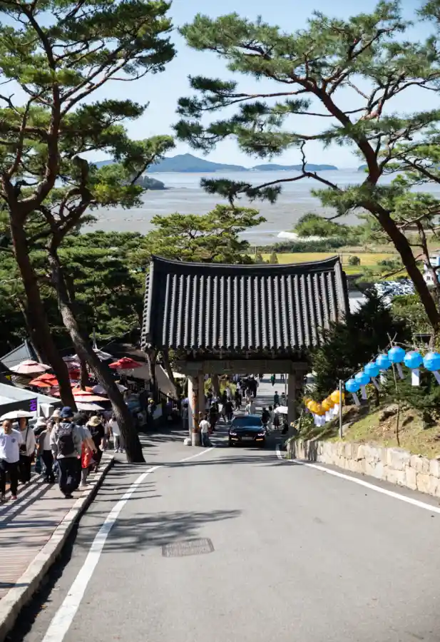 석모도 보문사 일주문을 벗어나는 길, 소나무 사이로 보이는 서해 바다와 올라오는 검은색 승용차 스냅