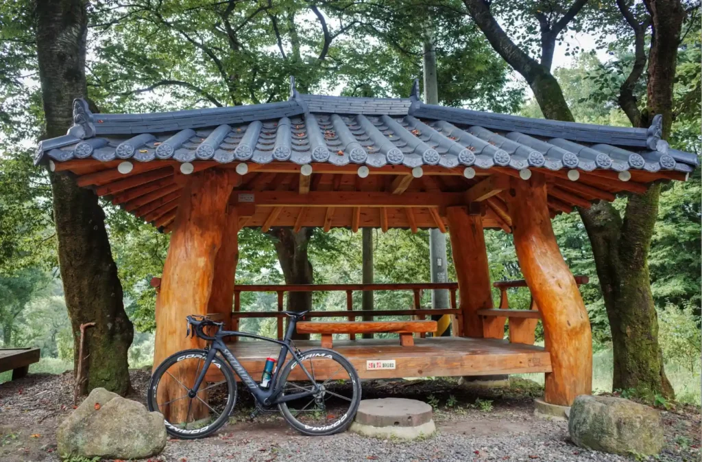 TACO님의 벤지 엘리트 로드바이크가 울창한 숲속의 전통 한옥 정자 옆에 기대어 있는 사진. 10년간 함께한 자전거와의 추억을 상징하며, 라이딩 후 휴식의 순간을 담은 감성적인 장면입니다.