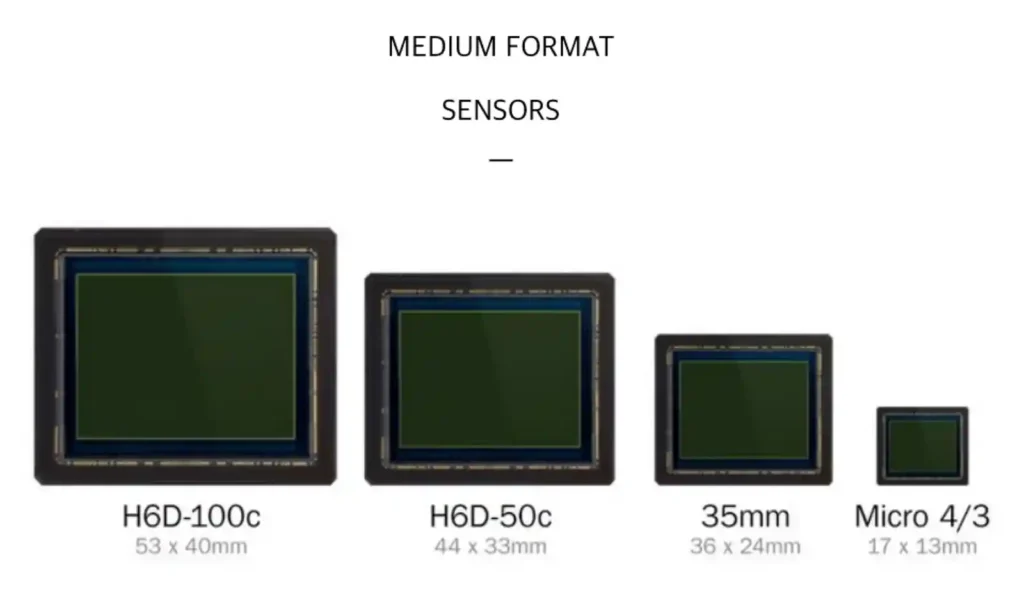 중형 포맷과 풀프레임, 마이크로 포서즈 센서 크기를 비교한 이미지로, 53×40mm·44×33mm·36×24mm·17×13mm 센서가 실제 비율에 가깝게 나열되어 있다.