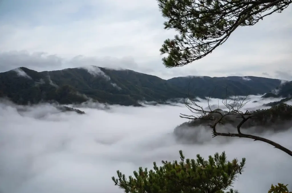주왕산 계곡을 가득 채운 운해와 그 위로 떠오른 산 능선
