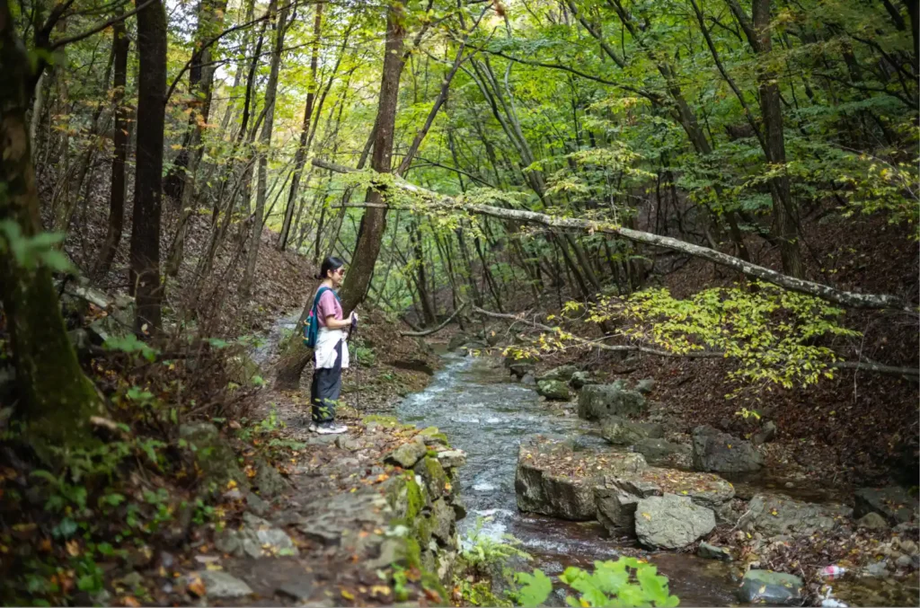 가을 단풍이 물든 주왕산 계곡길을 걷는 등산객