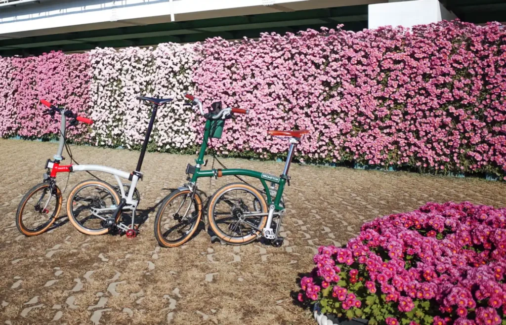 금호꽃섬 국화 담장 앞에 세워둔 브롬톤 두 대의 모습