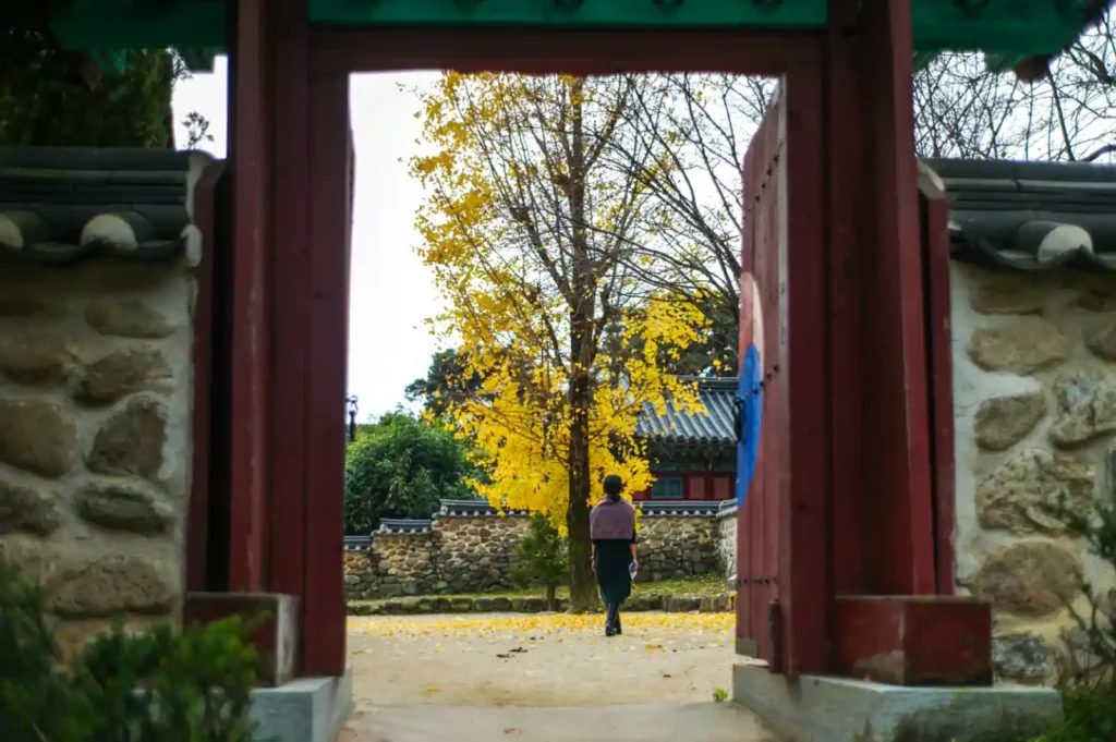 라이카 M9-P와 주미크론 35mm 4세대로 촬영한 가을 풍경 사진. 부드러운 글로우와 클래식한 색감이 특징이다.