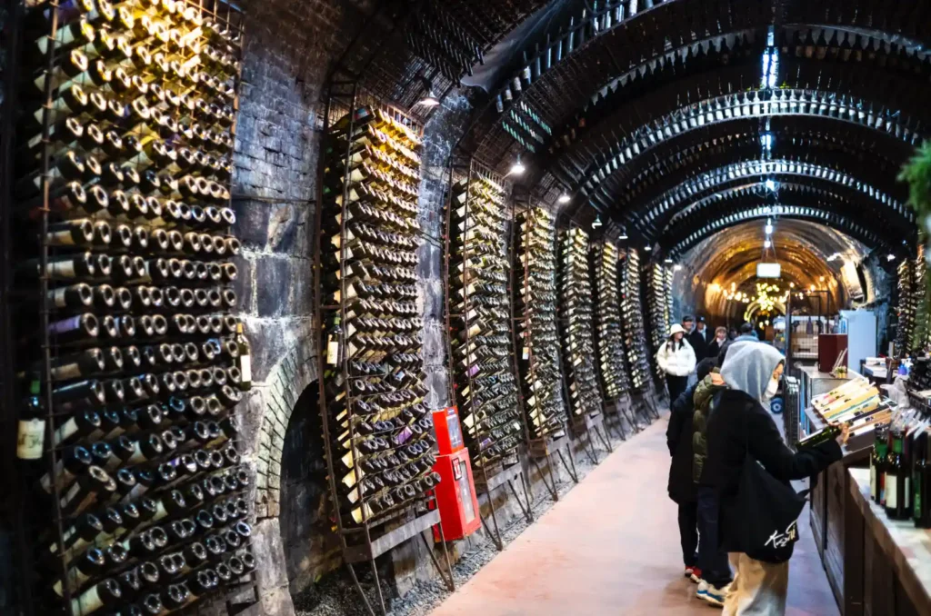 와인 저장고 안쪽, 벽면에 수백 개의 와인병이 정렬된 모습. 따뜻한 조명 아래에서 반짝이는 유리병과 벽돌 질감이 선명하게 표현된 Leica M10-R 촬영 사진.
