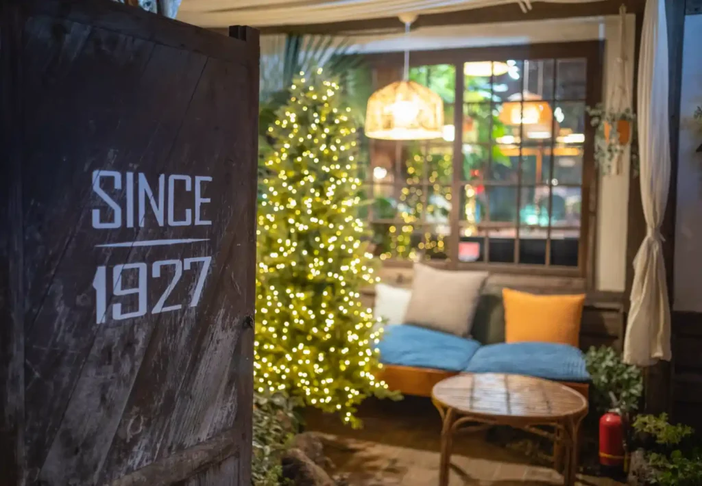 카페 내부에서 크리스마스트리 조명과 소파를 얕은 심도로 촬영한 사진