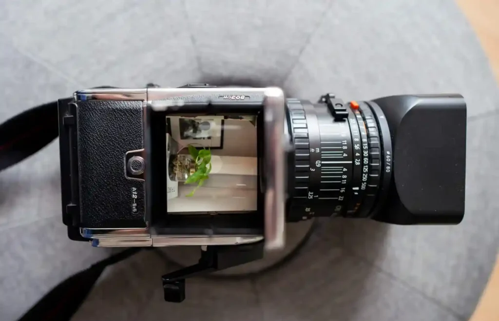 핫셀블라드 중형 필름 카메라의 웨이스트 레벨 파인더를 위에서 내려다본 모습. 파인더 속 정방형 포커싱 스크린에는 좌우가 반전된 실내 풍경과 식물이 보이며 6x6 포맷의 독특한 촬영 경험을 1인칭 시점으로 보여주는 이미지