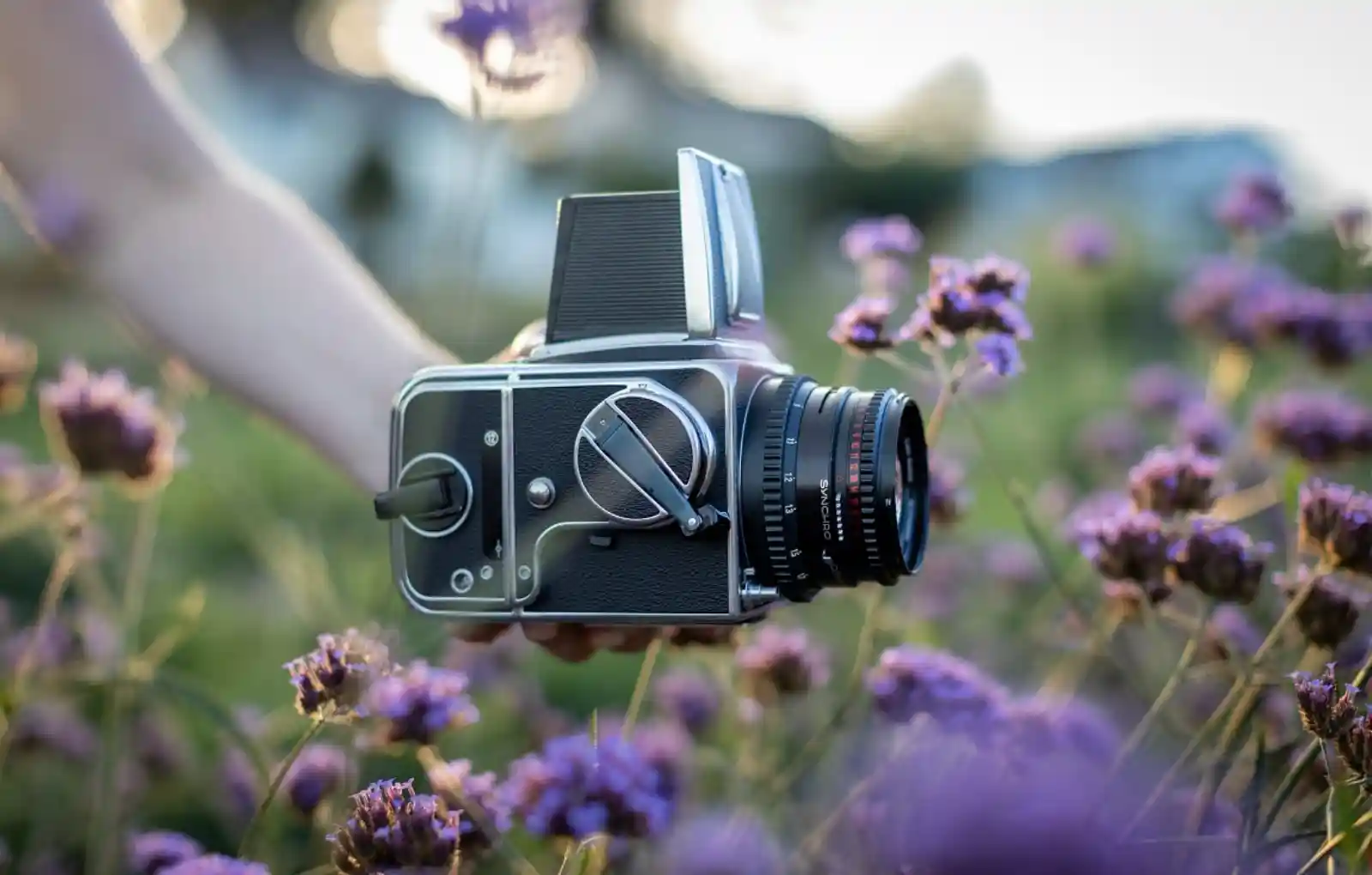 보라색 들꽃 사이에 놓인 핫셀블라드 중형 필름 카메라. 특유의 정사각형 바디와 웨이스트 레벨 파인더가 보이며, 자연스럽고 부드러운 보케 속에서 HNCS 색감의 진가를 보여주는 이미지