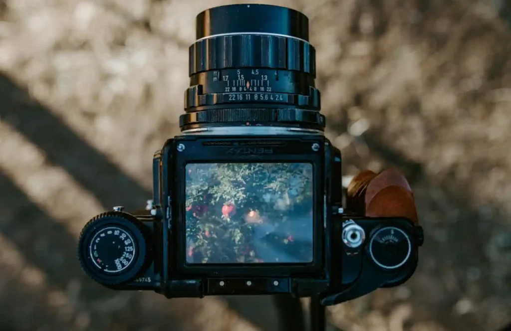 핫셀블라드 중형 필름 카메라의 웨이스트 레벨 파인더를 위에서 내려다본 모습. 파인더 스크린에는 꽃이 핀 자연 풍경이 보임. 필름 시대부터 이어져 온 핫셀블라드의 색채 철학과 HNCS의 뿌리를 상징하는 이미지