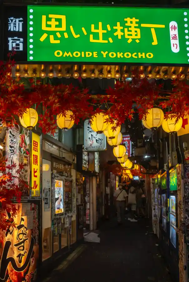 오모이데요코초 입구의 밤 풍경. 녹색 간판에 '思い出横丁 OMOIDE YOKOCHO'라고 쓰여 있고, 노란 초롱불과 붉은 단풍 조화로 화려하게 장식된 좁은 골목 입구로 사람들이 들어가는 모습
