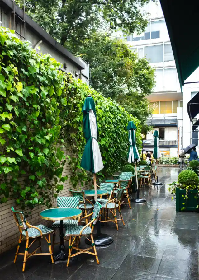 비 오는 날 도쿄 오모테산도 랄프스 커피 야외 테라스 - 다크그린 파라솔과 체크무늬 의자