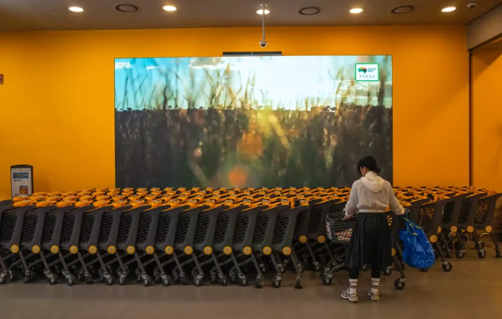 이마트 푸드마켓 입구에서 리코 GR2로 촬영한 쇼핑카트 보관소. 검은색과 노란색 쇼핑카트들이 가지런히 정렬되어 있고, 뒤쪽 노란색 벽면에는 농장 풍경을 보여주는 대형 스크린이 설치되어 있다. 오른쪽에는 파란 에코백을 든 고객이 카트를 끌고 있는 모습이 보인다.