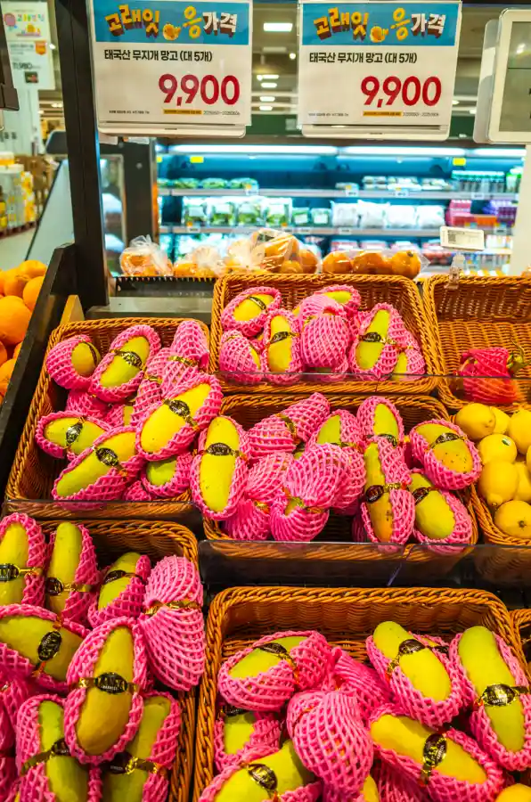 이마트 푸드마켓 과일 코너를 리코 GR2로 촬영한 레몬 진열 사진. 갈색 바구니에 핑크색 그물망으로 포장된 노란 레몬들이 가득 담겨 있다. 위쪽으로 고래의 옷 응가격 9,900원 가격표가 두 개 보이고, 뒤쪽으로는 냉장 진열대와 오렌지 등 다른 과일들이 보인다. 레몬 표면의 질감이 선명하게 표현되어 있다.