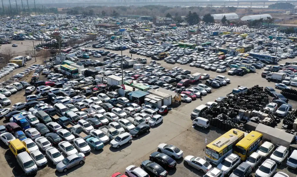 2026년 한국 중고차 매매단지 전경 - 다양한 차종이 진열된 대규모 중고차 시장