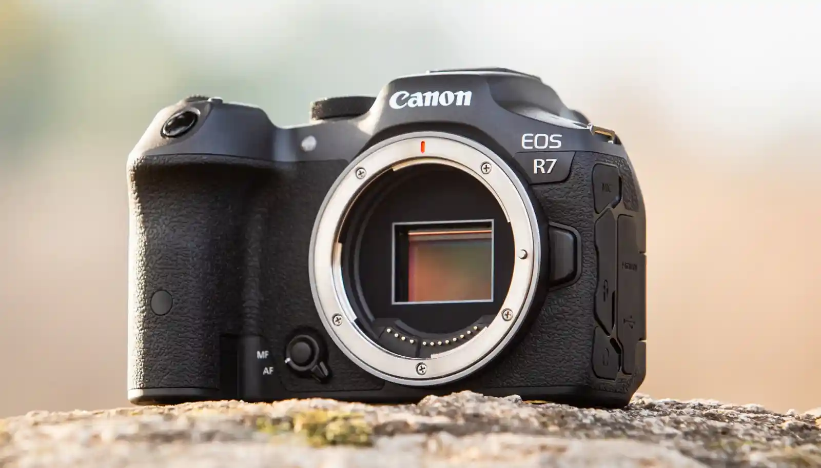 렌즈를 분리한 Canon EOS R7 바디 정면. RF 마운트와 APS-C 센서가 선명하게 드러나 있으며 돌 위에 놓여 있습니다.