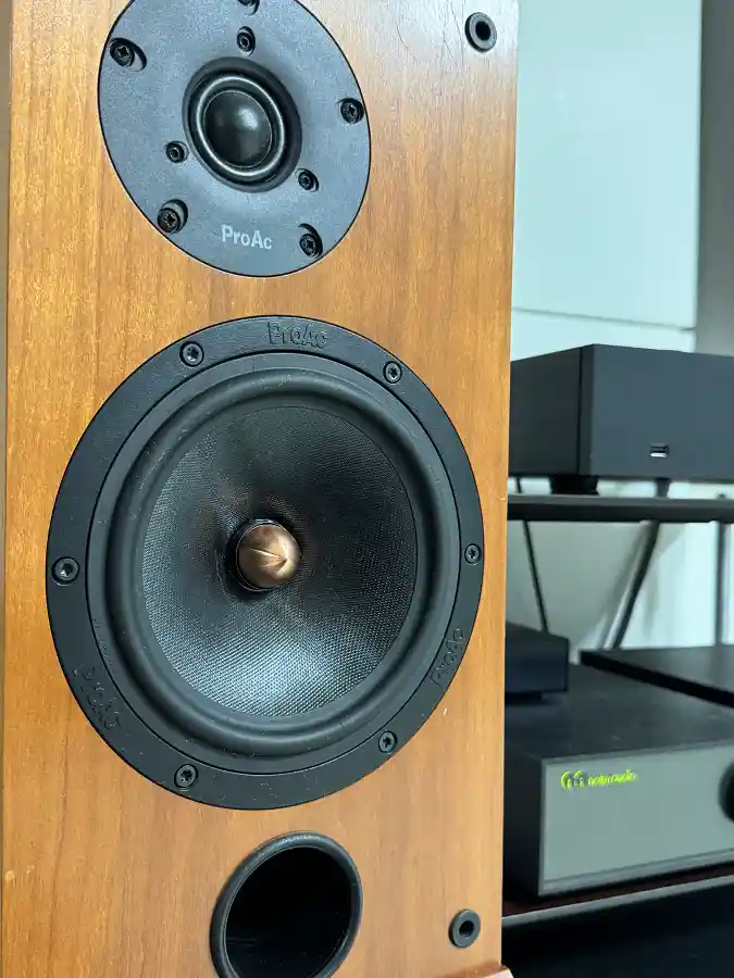 ProAc Response D2 스피커 드라이버 클로즈업 - 실크 돔 트위터와 6.5인치 우퍼