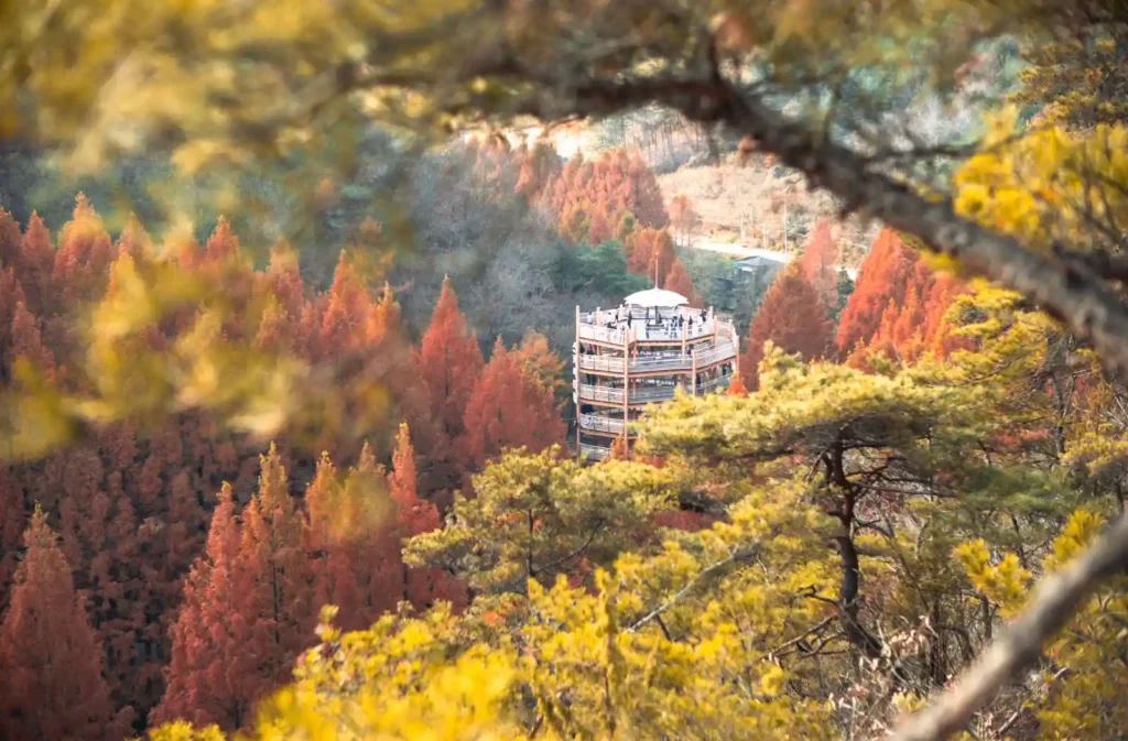 가을 단풍 사이로 보이는 전망대와 방문객들 — 현장에서 직접 촬영한 공간과 위치가 드러나는 풍경 사진