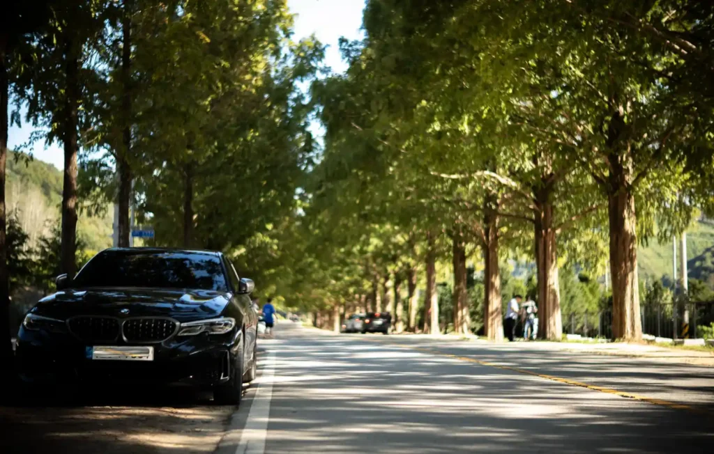 가로수길에 정차한 BMW M340i 전면 모습 — 직렬 6기통 B58 엔진을 탑재한 G20 세대 스포츠 세단