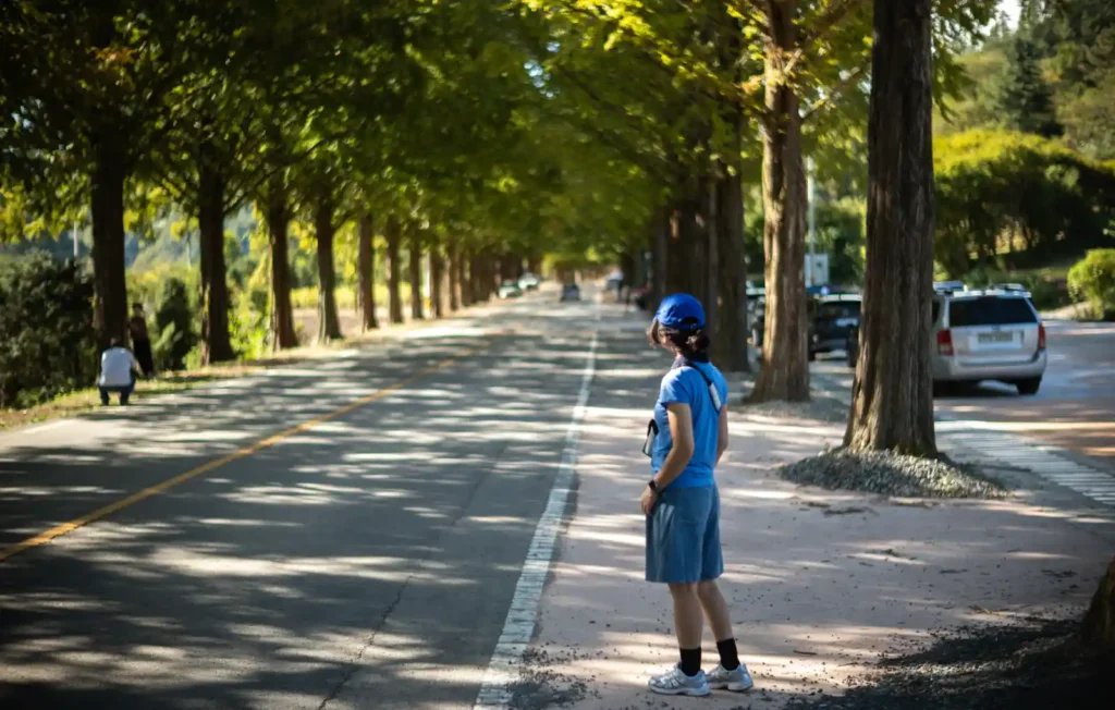 라이카 녹티룩스 50mm f/1.2로 촬영한 메타세쿼이아 가로수길 인물 — 천천히 찍는 리듬