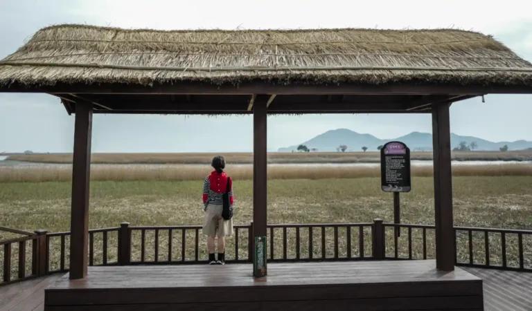 28mm 렌즈로 촬영한 습지 전망대 풍경, 정자 아래 인물이 서 있고 넓은 갈대밭과 산 능선이 함께 담긴 환경 인물 사진