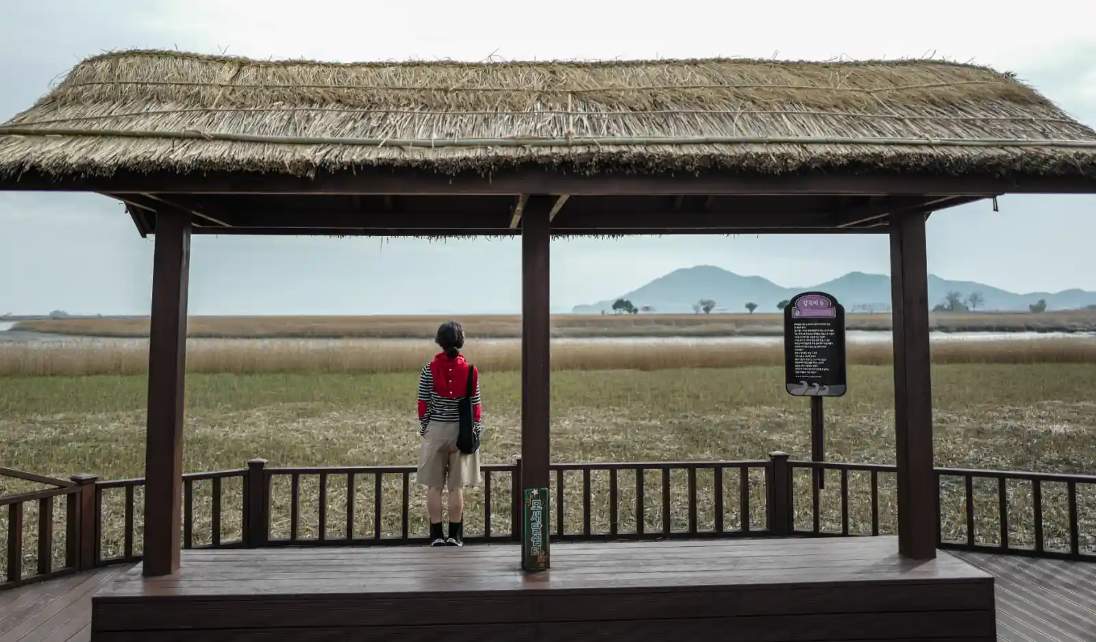 28mm 렌즈로 촬영한 습지 전망대 풍경, 정자 아래 인물이 서 있고 넓은 갈대밭과 산 능선이 함께 담긴 환경 인물 사진